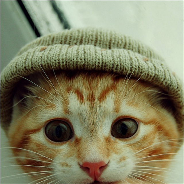 Владислав Коржавин